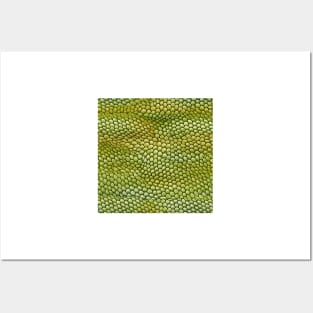 Animal Prints Reptile Pattern Posters and Art
